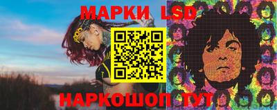 спиды Бийск