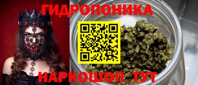 шишки Берёзовский