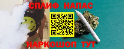 спиды Бийск