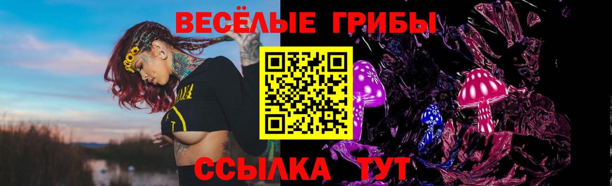 Галлюциногенные грибы Ишим